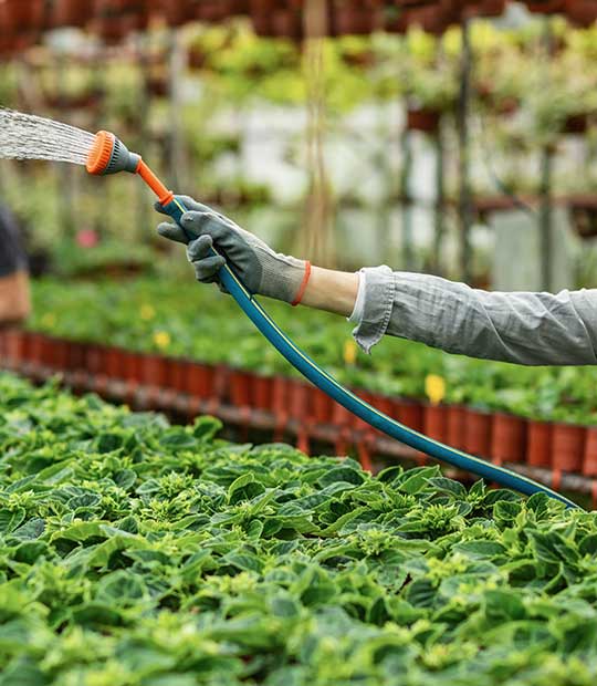gardening