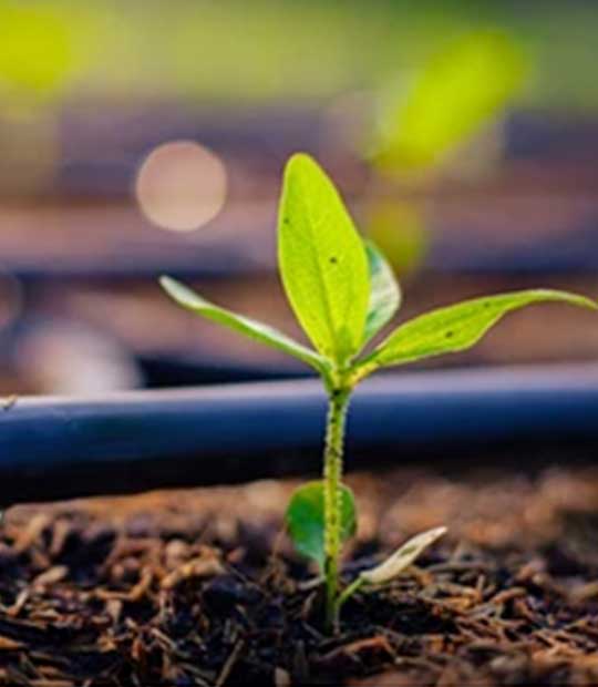 garden irrigation